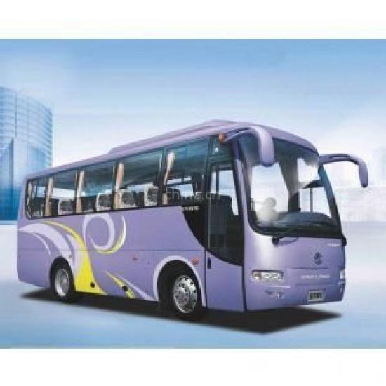 50多座大巴車