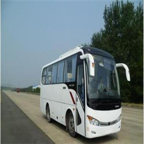 30多座中巴車